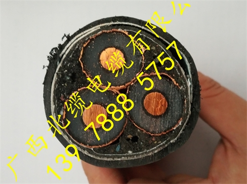 10KV YJV22 3*300