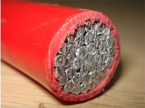 BLV 300