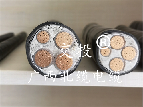 特种电缆