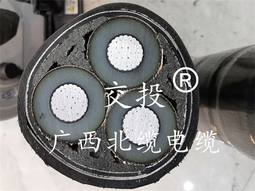 广西北缆电缆-解说高压电缆的生产过程