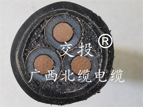 广西北缆电缆有限公司-怎么样的电线算是国标电缆