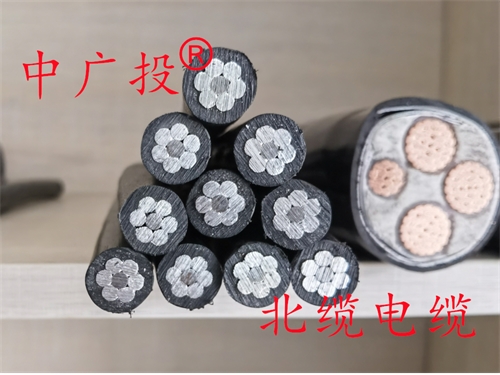 10KV JKLGYJ 70/10