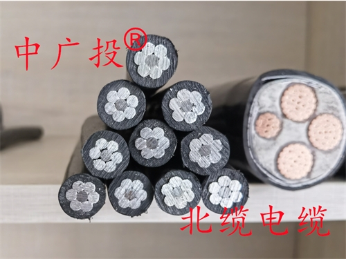 10KV JKLGYJ 1*50
