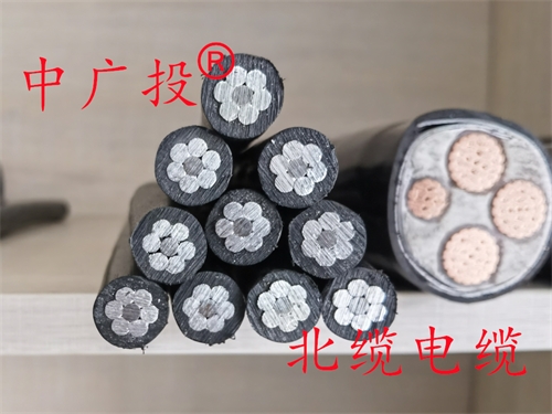 JKLGYJ 1*35架空电缆