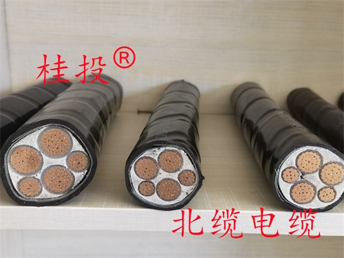 南宁铜芯电力电缆
