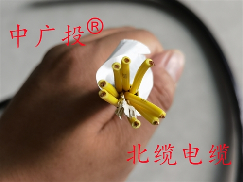 计算机电缆ZR-DJYPVP2-22