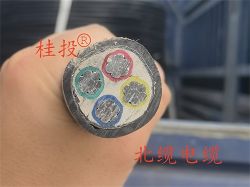 VLV22 3*25+1 铝芯电缆