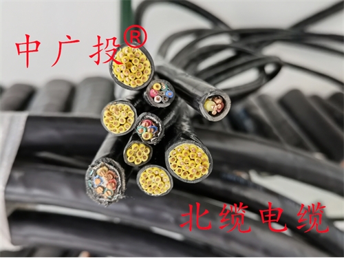 KVVP10*1.5屏蔽控制电缆