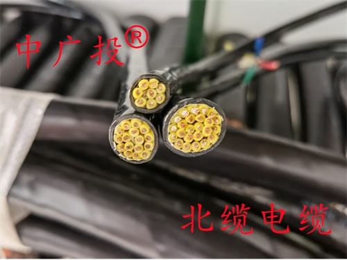 RVVP/RVV多芯控制软心电缆