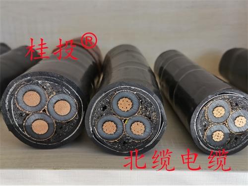 10KV ZR-YJV22 3*300