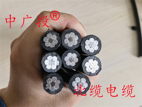1KV架空绝缘导线带钢芯