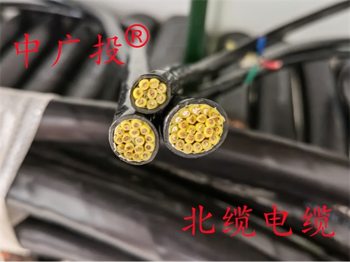 铠装屏蔽控制电缆KVVP2-22