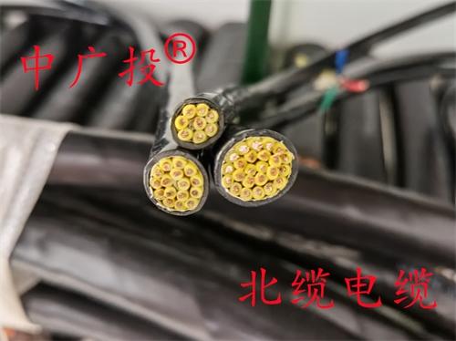 铠装屏蔽控制电缆KVVP2-22