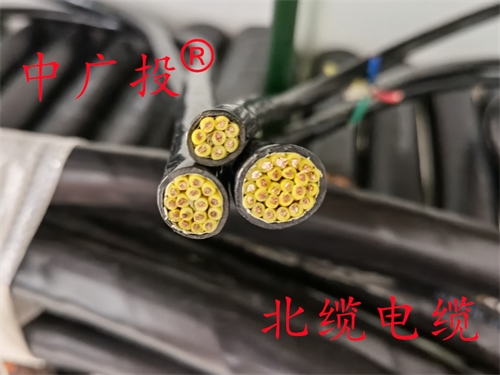 KVVP2-22 10*4控制电缆