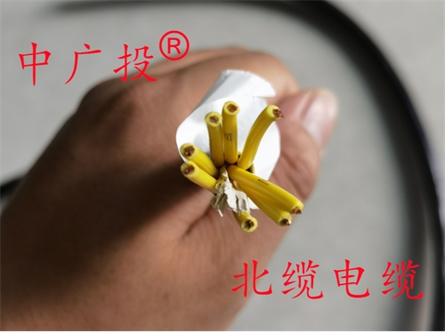 计算机电缆ZR-DJYPVP16对1.5