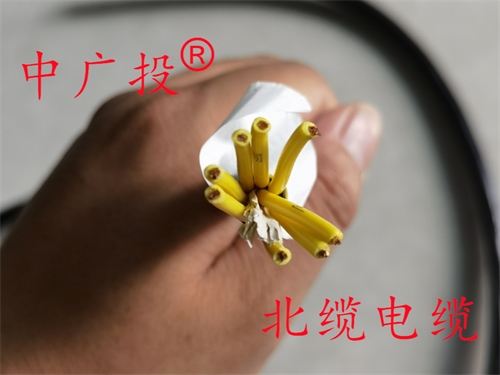 计算机电缆ZR-DJYPVP1.5平方