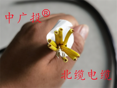 计算机电缆ZRDJYPVP2-22