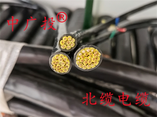 ZRDJYPVP2-22计算机电缆