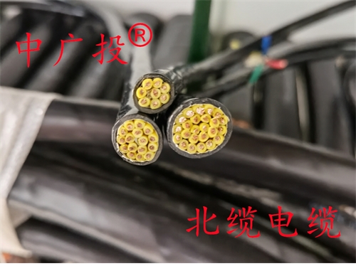 ZRDJYPVP2-22计算机电缆