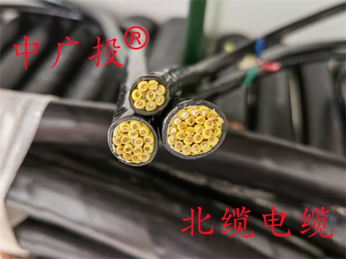 ZRDJYPVP2-22计算机电缆