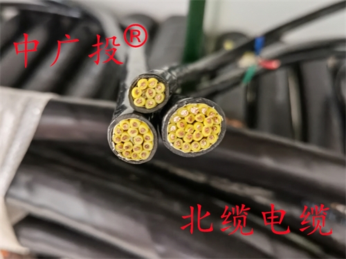 铜带屏蔽铠装电缆8芯1.5平方