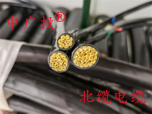 RVV/RVVP铜带屏蔽铠装电缆
