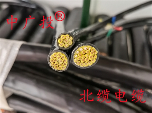 ZRRVV/RVVP铜带屏蔽铠装电缆