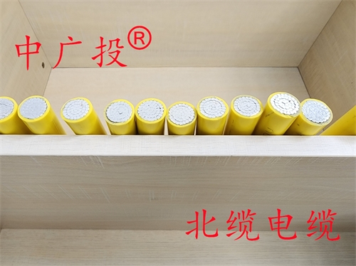 BLV 70单芯电缆