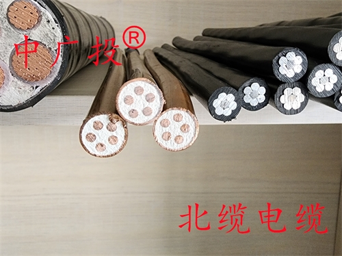 BTTZ 5*10矿物质防火电缆