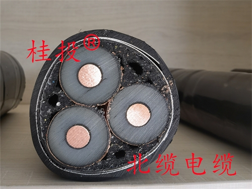 10KV ZC-YJV22 3*120