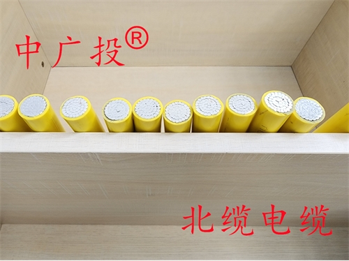 农网改造双塑线铝线BLVV 35