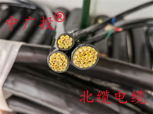 ZRDJYP2VP2-22计算机电缆
