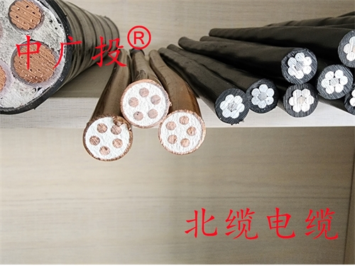 BTTZ 4*35刚性矿物质电缆